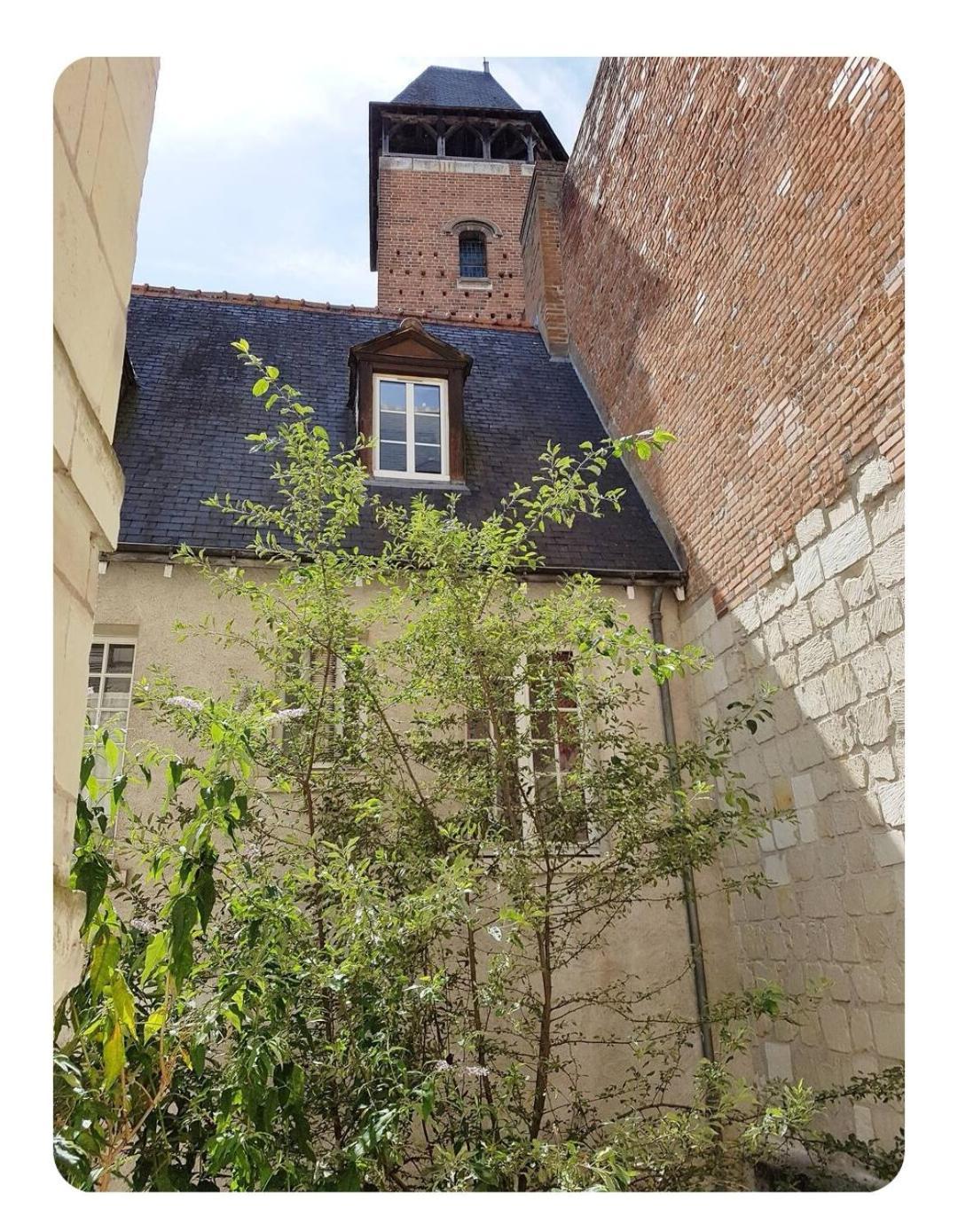 Havre De Paix Avec Exterieur Au Coeur Du Vieux Tours Apartman Kültér fotó